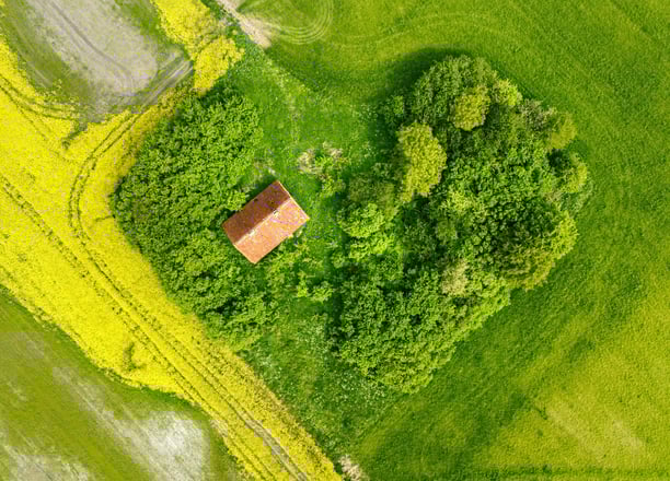 Topo Vizija geodezijos paslaugos Tauragėje žemės sklypų formavimo ir pertvarkymo projektai