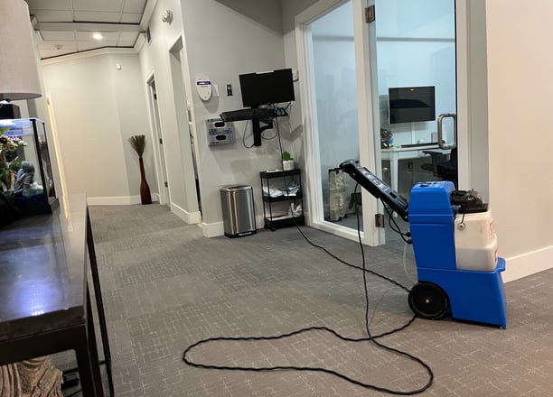 a carpeted floor being cleaned by a blue commercial carpet cleaning machine.