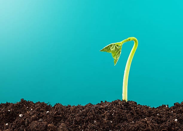 Agencia de Google Ads - Plan Basico