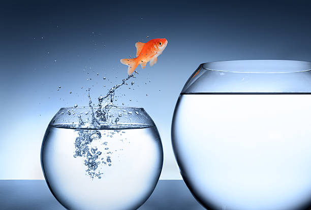 Agencia de Google Ads - Plan Negocios