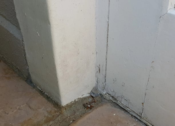 Rising Damp