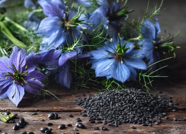 Nigelle et cumin noir