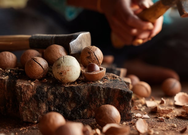 Femme qui casse des noix de macadamia