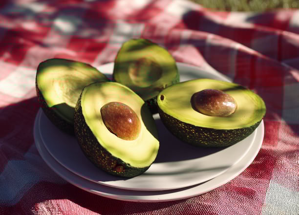 Avocats lors d'un pique-nique