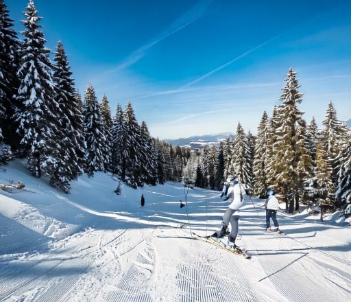 Skifahren im Bayerischen Wald