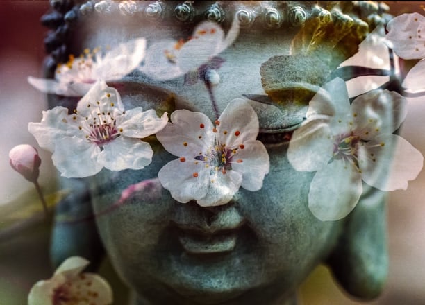 holistic therapies