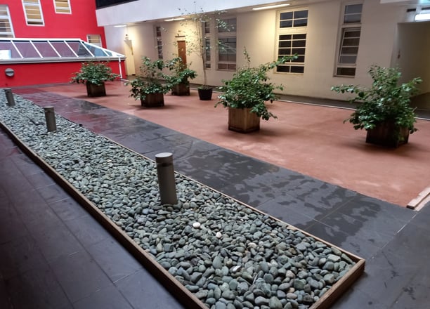 a courtyard with a lot of plants and a lot of rocks