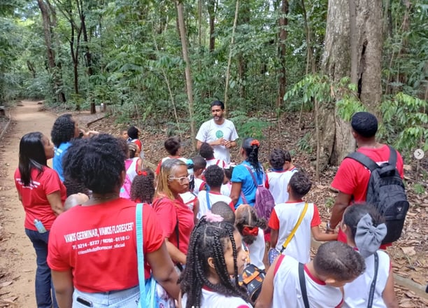 visita pedagógica educação infantil
