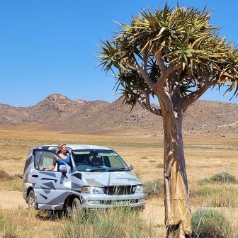Lady in desert near beautiful tree 