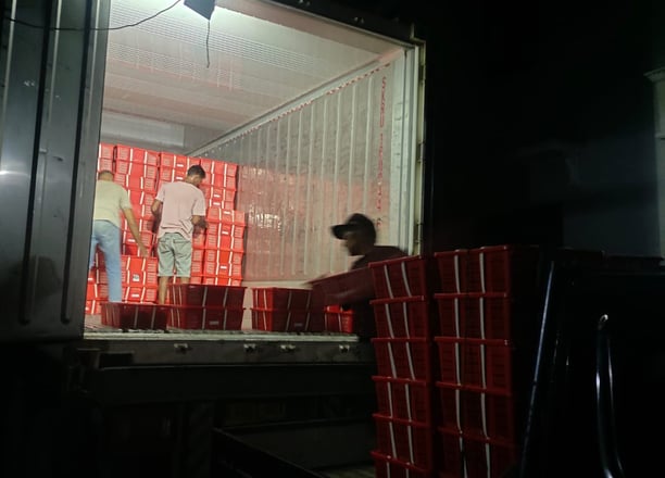 alt="Aktivitas stuffing salak ekspor ke kontainer pada malam hari di Sleman"