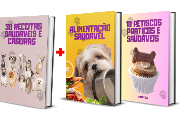 a series of three books with a dog and a cat