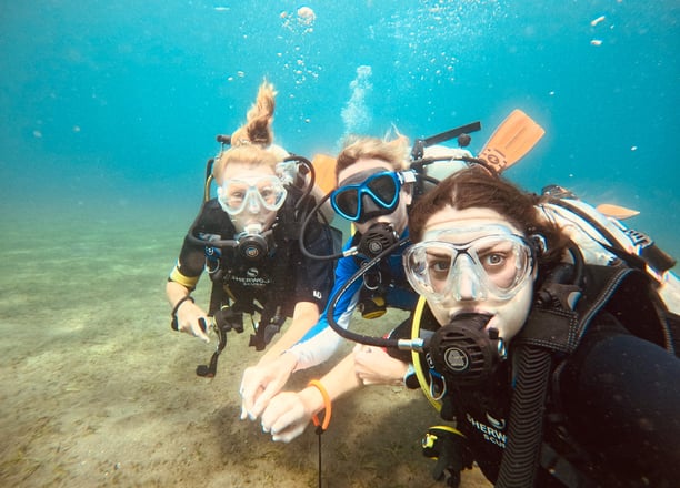 Three women who dive, looking at a turtle