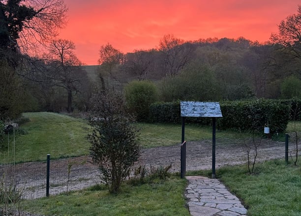 A peaceful woodland campsite where the forest glows in soft pink and orange light. 