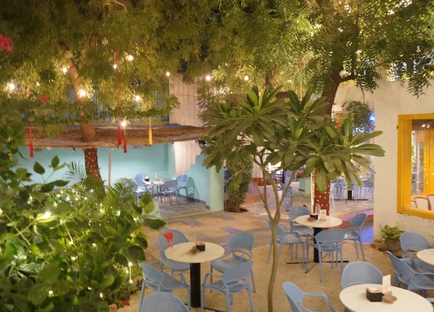 Basil The OtherSide Ambiance with greenery Ahmedabad