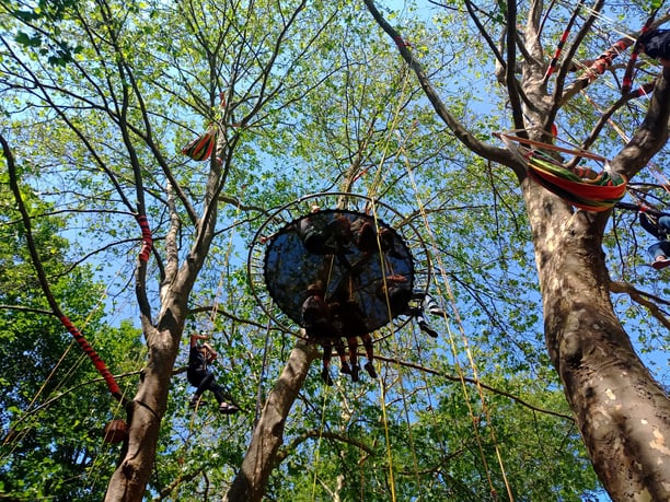 Platform with people on it, during a tree-climbing event