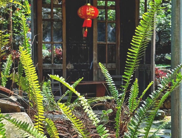 Hình view bên ngoài phòng của Mế Farmstay Cao Bằng