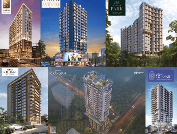 PLATINUM CORP PROJECTS