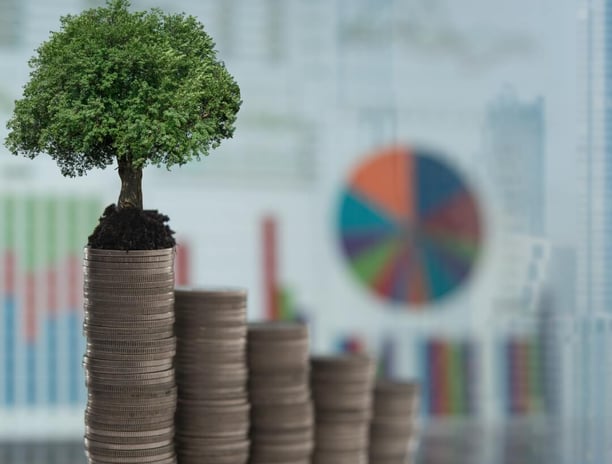 a tree growing on top of stacks of coins