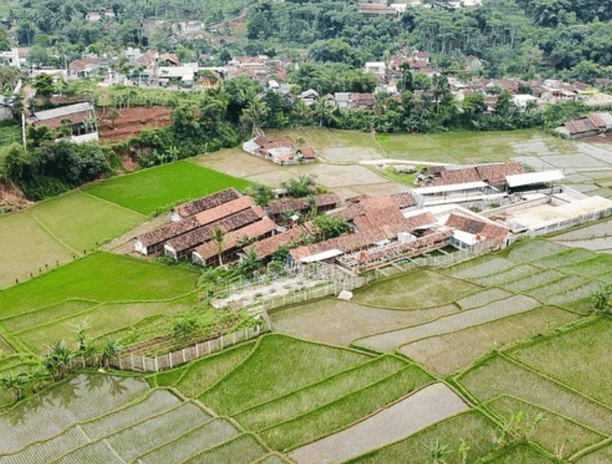 area peternakan kukku farm