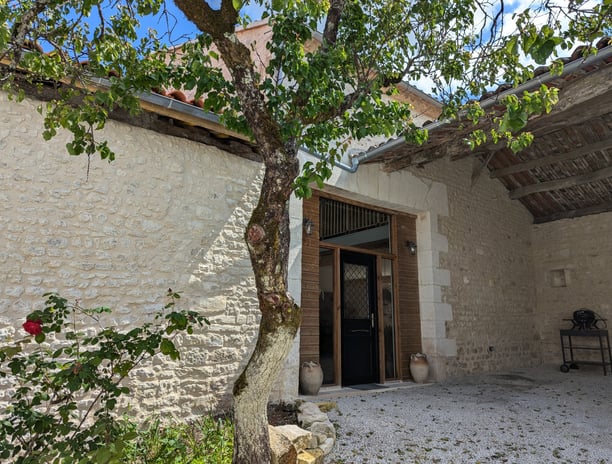 a tree in a courtyard with a tree in the background