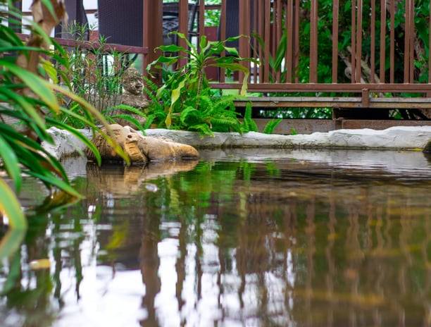 a wooden deck with a wooden deck and a wooden deck