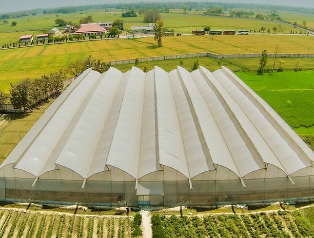 Sustainable rooftop farming project under protected cultivation