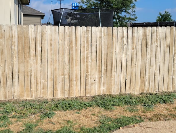 Fence cleaning