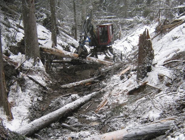 Spider hoe installing woody debris in a creek following a wildfire. West kelowna