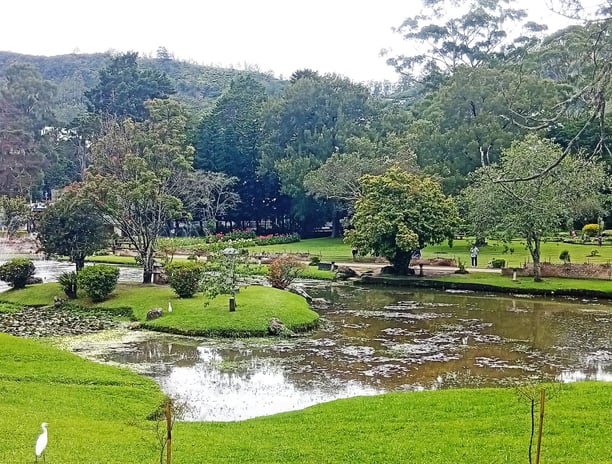 Victoria Park Pond near Nobel Bungalow Nuwara Eliya – relaxing nature spot close to the stay