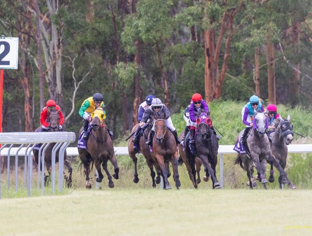 Horses racing around the home turn at Nanango Racetrack