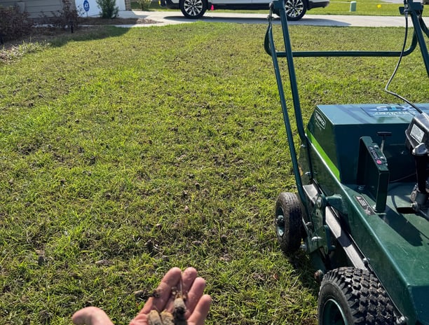 Aerator plugs in Guyton, GA