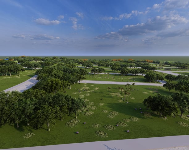 a park with a view of a park with trees