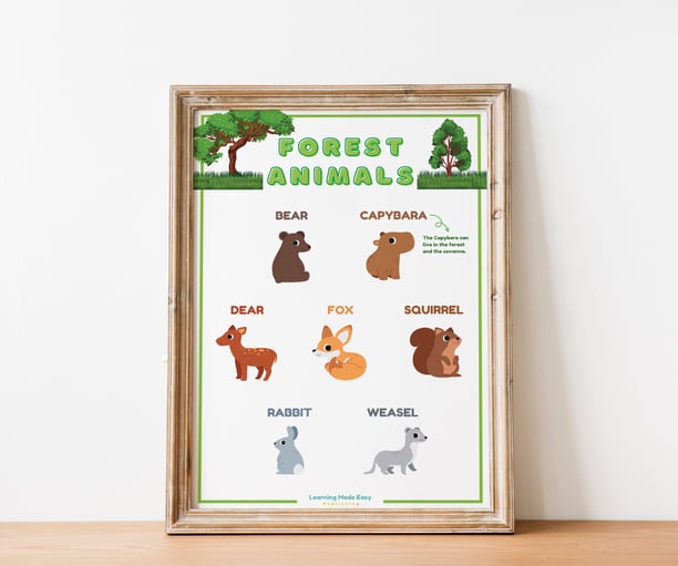 Forest Animals Poster with animal illustrations 