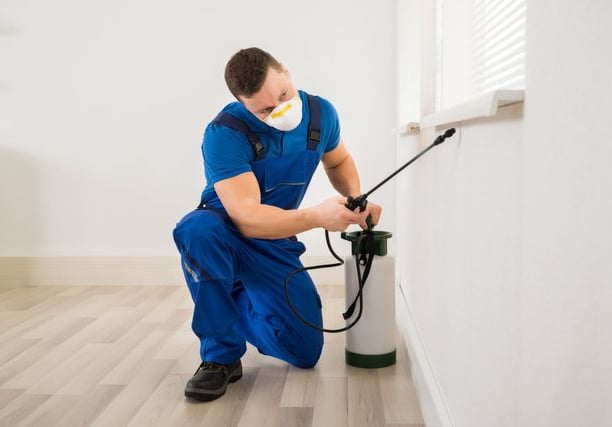 We make sure to spray every area of your home or business.