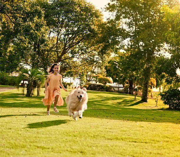 Menina brincando com o seu cachorro