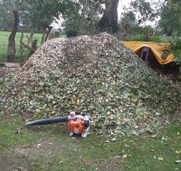 woodchip sales