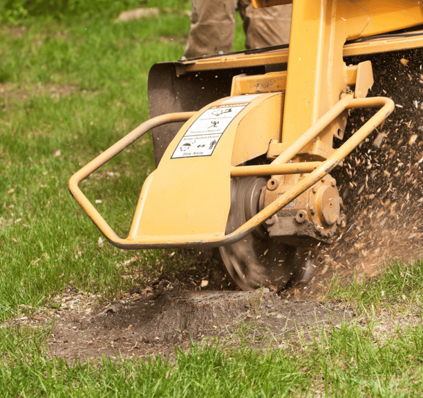 stump grinder