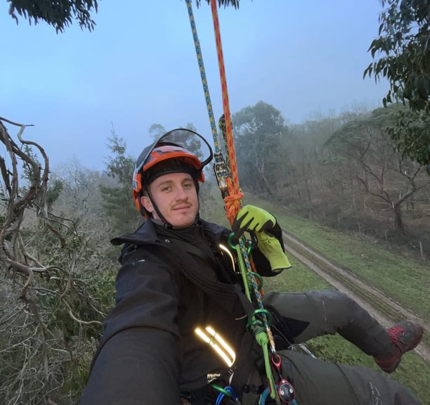 tree cut services at work