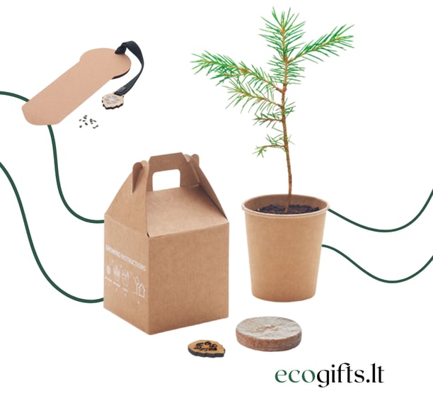 Ekologiškos ir pasodinamos verslo dovanos | ecogifts.lt 