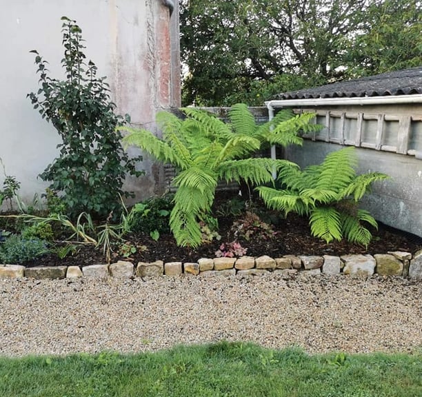 Plantation végétaux nord Finistère pepidirect
