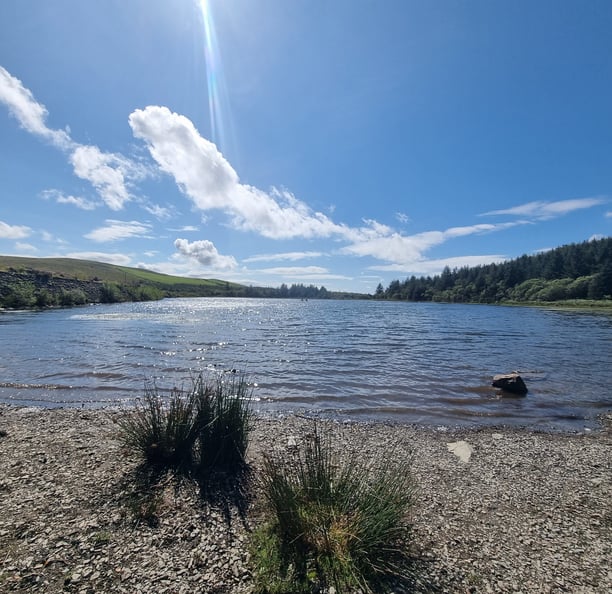 A beautiful lake surrounded by gerrn hills and pine forest.