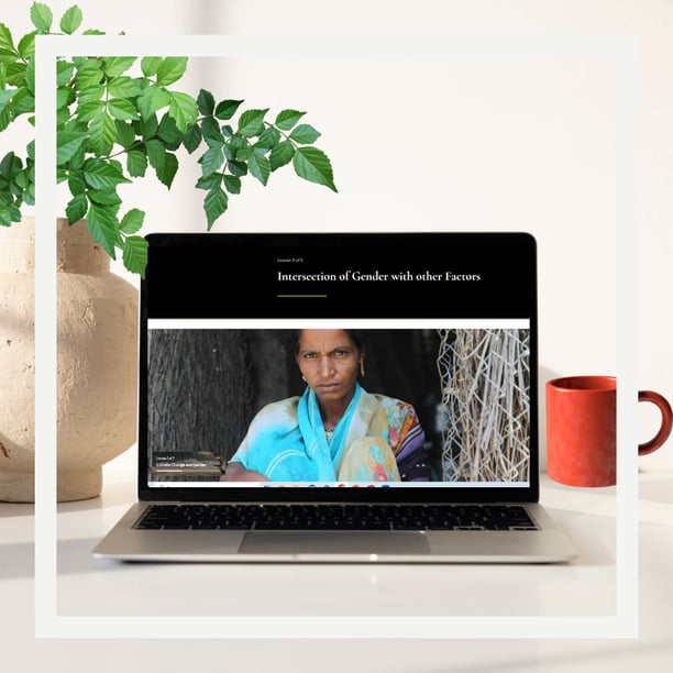 Interactive, self paced innovative course for government officials, featuring quizzes an