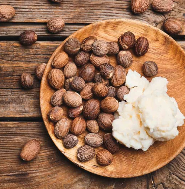 Grade A Shea Nuts from Uganda to make unrefined cold-pressed Shea Butter