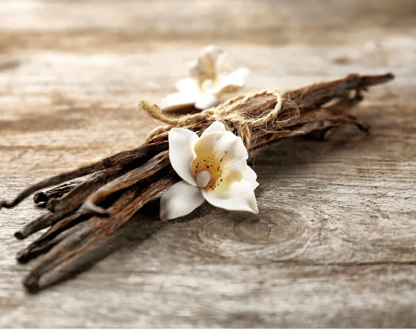 Premium organic vanilla bean pods from Africa