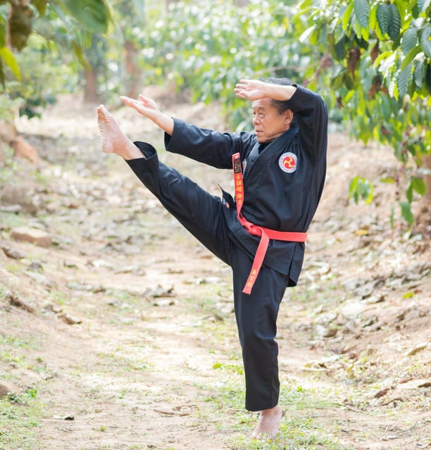 Hanshi Tetsuo Takamiyagi performing karate