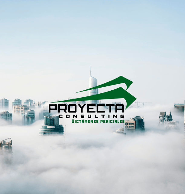 Proyecta consulting, Dictámenes periciales litigios y reclamaciones, Perito, dictámenes periciales
