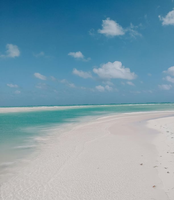 punta mosquito Isla Holbox
