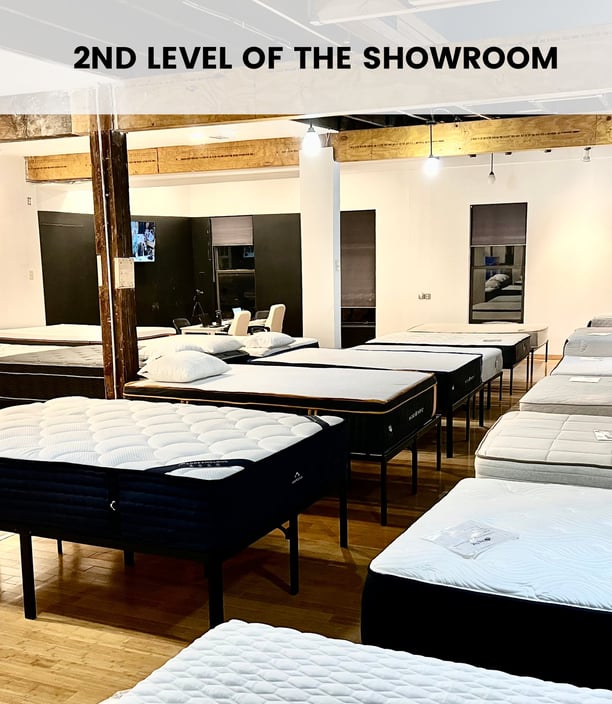 Plushbeds showroom on sale