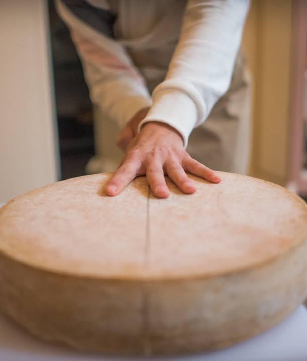 conseil financier TPE fromagerie Lyon