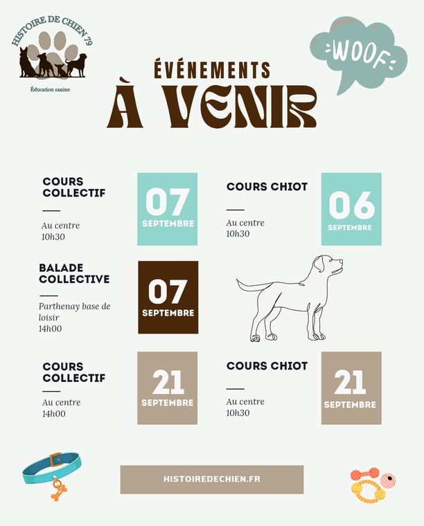 planning de septembre pour les cours chiot, cours collectifs et balades collectives